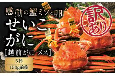 【冷蔵発送】越前がに（メス）「せいこがに」訳あり 150g前後 ×  5杯