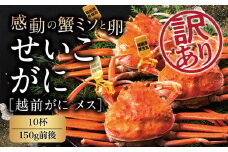 【冷蔵発送】越前がに（メス）「せいこがに」訳あり 150g前後 ×  10杯