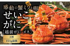 【冷蔵発送】越前がに（メス）「せいこがに」 150g前後 × 3杯