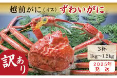 【2025年発送・指定日着可】越前がに（オス）「ずわいがに」特大サイズ（1.0-1.2kg） 訳あり 3杯