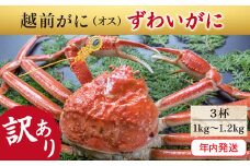 【年内発送・指定日着可】越前がに（オス）「ずわいがに」特大サイズ（1.0-1.2kg） 訳あり 3杯