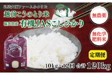 【定期便12回】令和6年度産　有機JASこしひかり　10㎏（5㎏×2袋）×12回〈弘法大師ファームみつまた〉