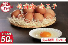 【定期便12回】越前産 赤玉子 50個（45個＋割れ補償5個入り） 【冷蔵・卵】（お届け日指定可）