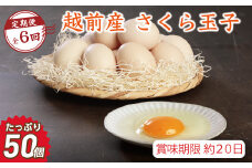 【定期便6回】越前産 さくら玉子 50個（45個＋割れ補償5個入り）【冷蔵・卵】（お届け日指定可）