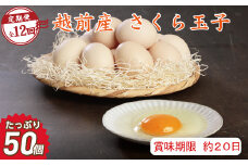 【定期便12回】越前産 さくら玉子 50個（45個＋割れ補償5個入り）【冷蔵・卵】（お届け日指定可）