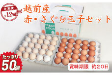 【定期便12回】越前産赤玉子・さくら玉子セット50個入り（45個+割れ補償5個入り）【冷蔵・卵】（お届け日指定可）