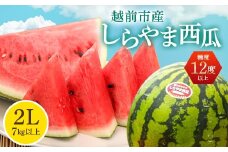 〈2025年 先行予約〉【コウノトリが舞う里で栽培される西瓜】しらやま西瓜　2L（7kg以上）1玉　ブランドスイカ　