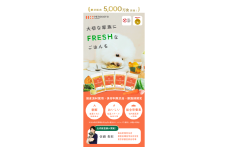 国産・保存料無添加の常温フレッシュドッグフード【ペトコトフーズ】
お試し4種類セット100g×4パック（ビーフ/ポーク/チキン/フィッシュ）