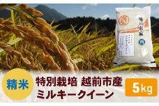 【令和6年度新米 精米】特別栽培 越前市産ミルキークイーン 5kg