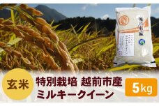 【令和6年度新米 玄米】特別栽培 越前市産ミルキークイーン 5kg