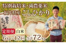 〈先行予約・新米〉【定期便１２回】減農薬米 こしひかり 6kg(3kg×2袋) ／令和7年 福井県産 （白米）2025年10月発送 人気品種 少量サイズ便利