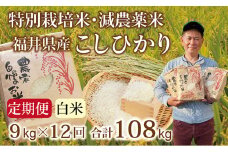 〈先行予約・新米〉【定期便１２回】減農薬米 こしひかり 9kg(3kg×3袋) ／令和7年福井県産 （白米）2025年10月発送 人気品種 少量サイズ便利