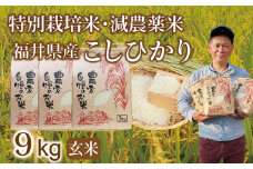 〈先行予約・新米〉減農薬米 こしひかり 9kg(3kg×3袋)／令和7年 福井県産 （玄米）2025年11月発送  人気品種 少量サイズ便利