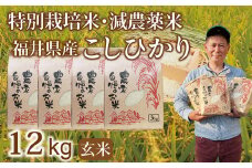 〈先行予約・新米〉減農薬米 こしひかり 12kg（3kg×４袋）／令和7年 福井県産 （玄米）2025年12月発送 人気品種 少量サイズ便利