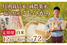 〈先行予約・新米〉【定期便６回】減農薬米 こしひかり 12kg(3kg×4袋) ／令和7年 福井県産 （白米）2025年10月発送 人気品種 少量サイズ便利