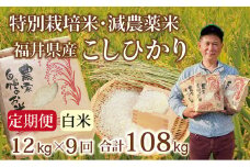 〈先行予約・新米〉【定期便９回】減農薬米 こしひかり 12kg(3kg×4袋) ／令和7年 福井県産 （白米）2025年10月発送 人気品種 少量サイズ便利