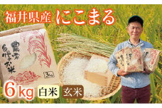 〈先行予約・新米〉にこまる 6kg(3kg×2袋) ／令和7年 福井県産 （玄米）2025年12月発送 少量サイズ便利