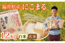 〈先行予約・新米〉にこまる 12kg(3kg×4袋) ／令和7年 福井県産 （玄米）2025年11月発送 少量サイズ便利