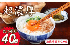 ミネラルを豊富に含んだ越前赤玉子40個（36個＋卵割れ補償4個）