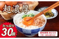 ミネラルを豊富に含んだ越前赤玉子30個（27個＋卵割れ補償3個）