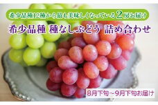 〈2025年 先行予約〉希少品種 種なしぶどう 詰め合わせ （希少品種12種から最も美味しくなっている時期のものを2房お届け）【数量限定】福井県越前市産