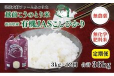 【先行予約】【定期便12回】令和7年度産 有機JASこしひかり 3㎏〈弘法大師ファームみつまた〉