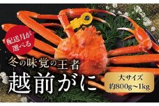 【2026年3月発送・月指定可】越前がに（オス）「ずわいがに」 大サイズ（800g-1kg） 1杯