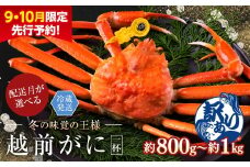 【2026年2月発送・月指定可】【先行予約 9月10月限定】越前がに（オス）「ずわいがに」大サイズ（800g-1kg） 訳あり 1杯