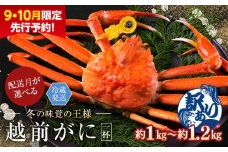【2026年3月発送・月指定可】【先行予約 9月10月限定】越前がに（オス）「ずわいがに」特大（1.0-1.2kg） 訳あり 1杯