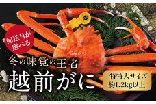 【2026年2月発送・指定日着可】越前がに（オス）「ずわいがに」特特大サイズ（1.2kg以上）  1杯