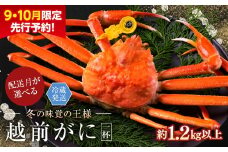 【2026年2月発送・指定日着可】【先行予約 9月10月限定】越前がに（オス）「ずわいがに」特特大サイズ（1.2kg以上）  1杯