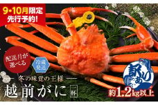【2026年3月発送・月指定可】【先行予約 9月10月限定】越前がに（オス）「ずわいがに」特特大サイズ（1.2kg以上） 訳あり 1杯