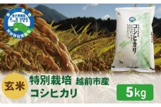 先行予約【令和7年度 新米・玄米】特別栽培 越前市産コシヒカリ 5kg
