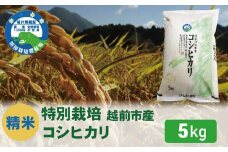 先行予約【令和7年度 新米・精米】特別栽培 越前市産コシヒカリ 5kg