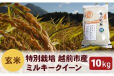先行予約【令和7年度 新米・玄米】特別栽培 越前市産ミルキークイーン 10kg