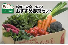 新鮮・安全・安心の「きららの丘店長おすすめ野菜セット」 [A-1001]