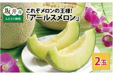 【先行予約】これぞメロンの王様！ 「アールスメロン」 2玉 化粧箱入り 【2025年9月中旬以降順次発送予定】【メロン めろん フルーツ デザート 果物 くだもの 果実 青肉 糖度 甘い ジューシー お取り寄せ グルメ 産地直送】
 [A-1002]