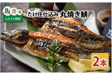たけ庄仕込み 丸焼き鯖 2本セット （生姜醤油付き） [A-1601]