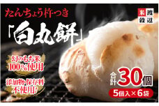 たんちょう杵つき「白丸餅」5個 × 6パック 計30個 特別栽培もち米使用！ ～幻のもち米100％使用～ 【つきたて モチモチ 添加物・保存料不使用 お雑煮 ぜんざい おやつにも 餅 もち おもち お餅 丸もち 福井 坂井市】 [A-2957]