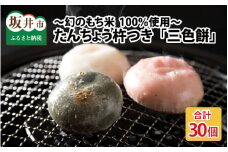 たんちょう杵つき「三色餅」5個 × 6パック 計30個 特別栽培もち米使用！ ～幻のもち米100％使用～ 【つきたて モチモチ 添加物・保存料不使用 お雑煮 ぜんざい おやつにも 餅 もち おもち お餅 丸もち 福井 坂井市】 [A-2958]