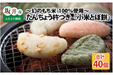 たんちょう杵つき「小米とぼ餅」 計40枚 特別栽培もち米使用！ ～幻のもち米100％使用～ 【つきたて モチモチ 添加物・保存料不使用 焼いてそのままでも おやつに 餅 もち おもち お餅 丸もち 福井 坂井市】 [A-2959]