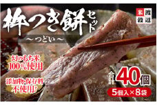 たんちょう杵つき餅セット 『つどい』 計40個 特別栽培もち米使用！ ～幻のもち米100％使用～ 【つきたて モチモチ 添加物・保存料不使用 焼いてそのままでも おやつに 餅 もち おもち お餅 丸もち 福井 坂井市】 [A-2961]