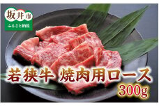 とろける若狭牛ロース 300g 【焼肉・ステーキ用】 [B-2102]