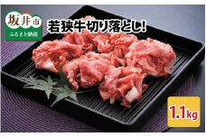 若狭牛切り落とし 1.1kg 用途色々！スタミナUP！健康長寿！ [B-2208]