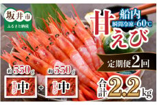 【年2回お届け】 漁船直送！船内瞬間冷凍 甘えび 約1.1㎏ × 2回 計2.2㎏ 【海老 えび エビ アマエビ あまえび 甘海老 殻付き 有頭 生食 刺身 冷凍 魚介類 魚貝類 産地直送 坂井市産 福井県産 国産 三国 人気】 [B-2318]