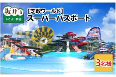 【芝政ワールド】 スーパーパスポート3名様（おとな2名・こども1名） 【遊園地 アクティビティ プール リゾートプール ウォータースライダー レジャー施設 レジャースポット アトラクション 恐竜 ダイナソー ファミリー キッズ 親子 家族 チケット フリーパス 入場券 旅行 夏休み アウトドア レジャー】 [D-3903] 