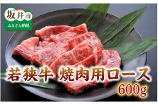 とろける若狭牛ロース 600g 【焼肉・ステーキ用】 [D-2102]