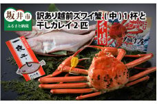 【電話連絡で安心】訳あり ≪茹で≫越前ズワイ蟹(中) 1杯 と 干しカレイ 2匹【2026年1月～3月発送予定】【カニ かに わけあり 海鮮 蟹 越前がに 越前ガニ ずわいがに ズワイガニ 姿 まるごと 日本海 冬の味覚 国産 県産 セット 干物】 [G-1603]