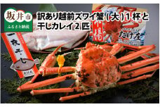 【電話連絡で安心】訳あり≪茹で≫越前ズワイ蟹(大) 1杯 と 干しカレイ 2匹【2026年1月～3月発送予定】 [K-1602]