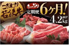 定期便 こだわり若狭牛 全6回 （すき焼き用 / 切り落とし / 焼肉用） 合計4.2kg 【肉 6ヶ月 牛肉 肉 お楽しみ 食べ比べ のし 熨斗 和牛 国産和牛 黒毛和牛 黒毛和種 ブランド牛 ギフト 贈答 BBQ 人気 おすすめ】 [K-2205]
